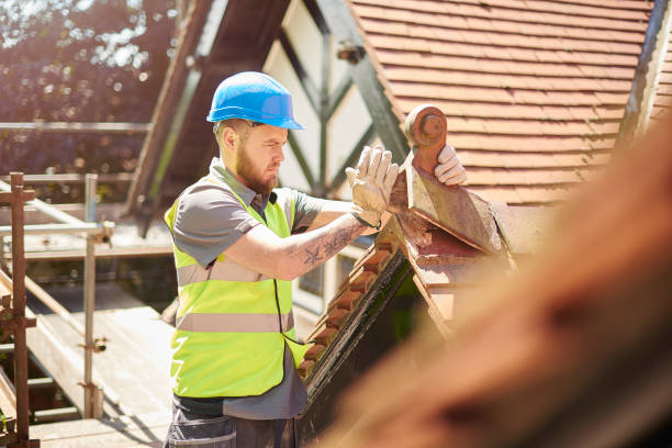 Best Roof Gutter Cleaning  in Briarcliff, TX